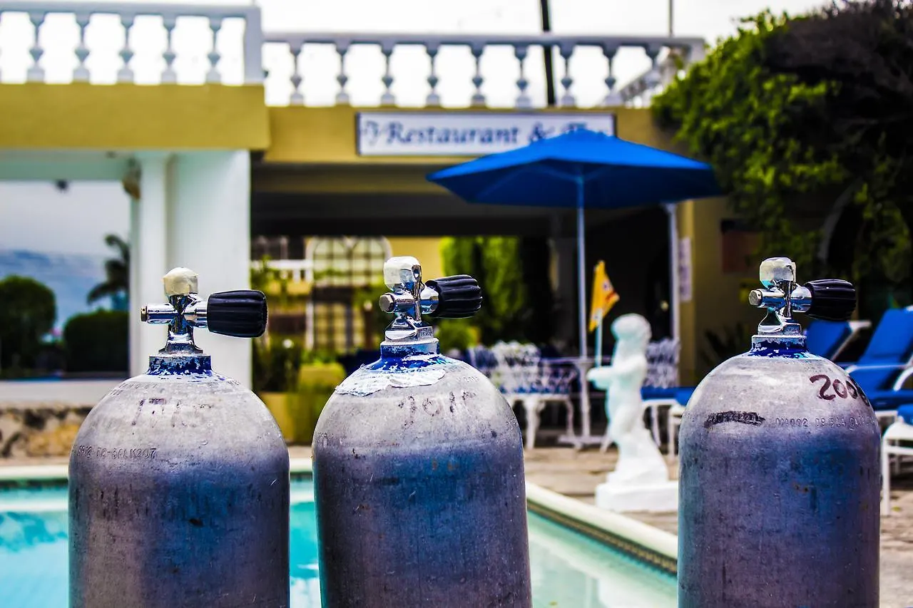 Villablanca Garden Beach Hotel Cozumel